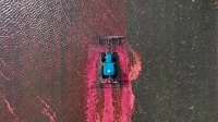cueillette de canneberges 
