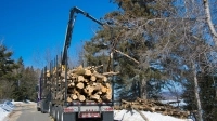 Camion transportant des tronc d'arbre