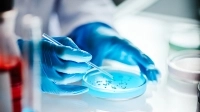 Gros plan sur un test laboratoire