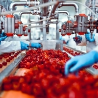 Usine de transformation alimentaire