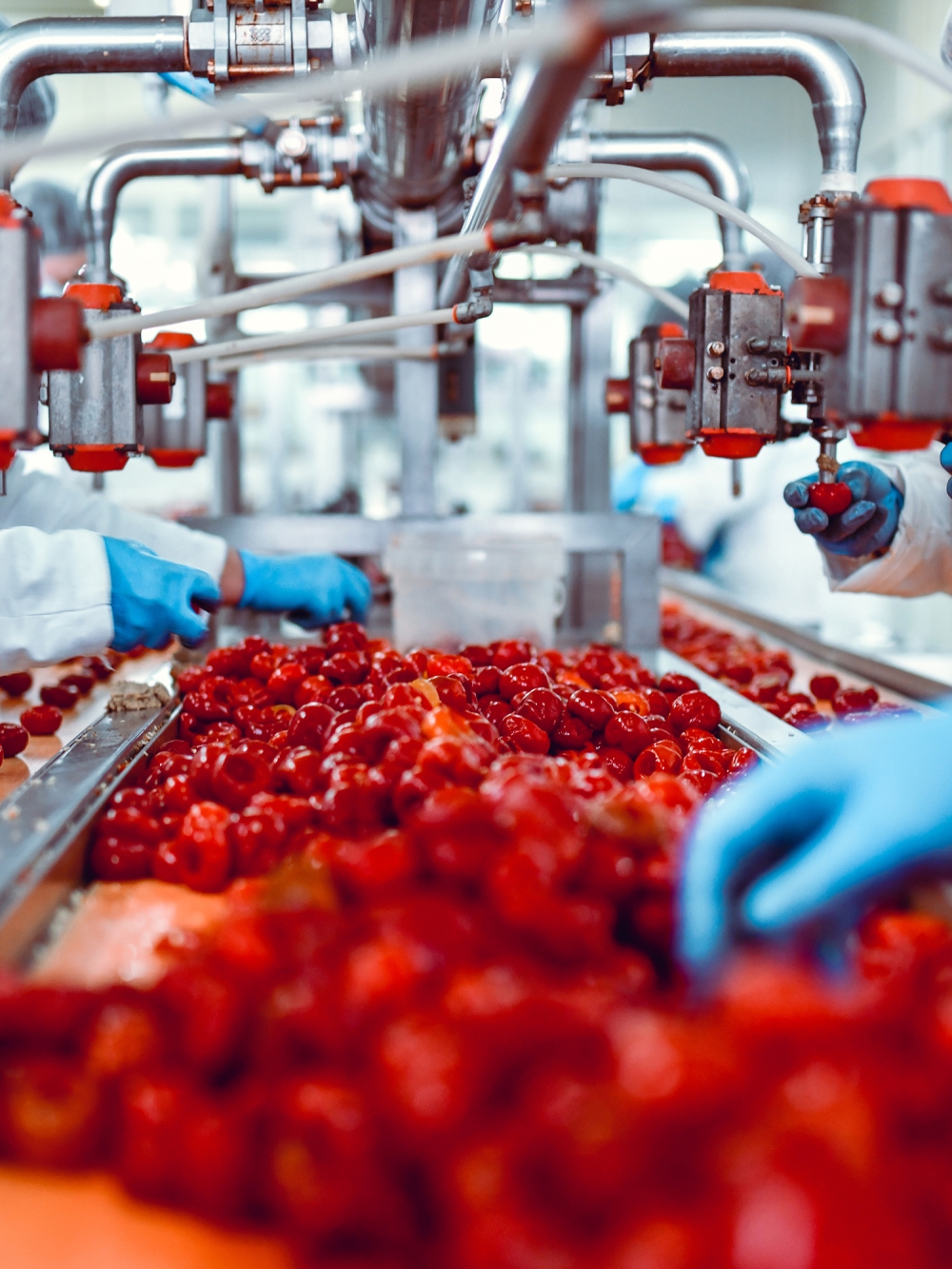 Usine de transformation alimentaire
