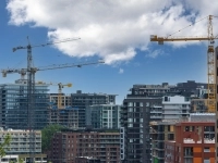 Grues sur un chantier de construction